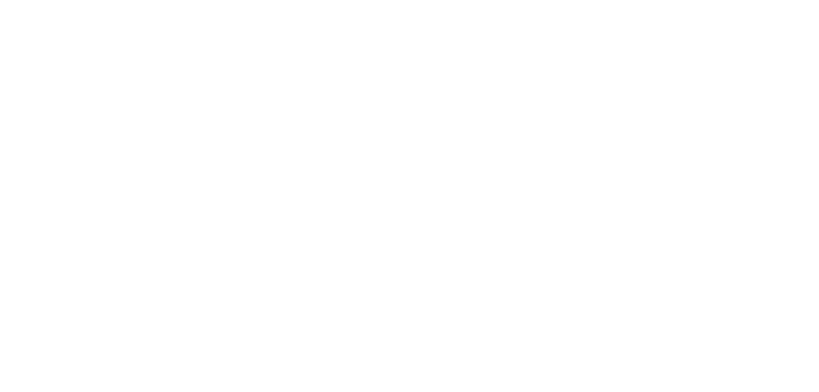 Group Ginger